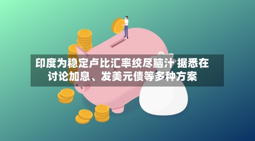 印度为稳定卢比汇率绞尽脑汁 据悉在讨论加息、发美元债等多种方案-第2张图片