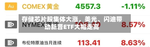 存储芯片股集体大涨，美光、闪迪带动新晋ETF大幅走高-第3张图片