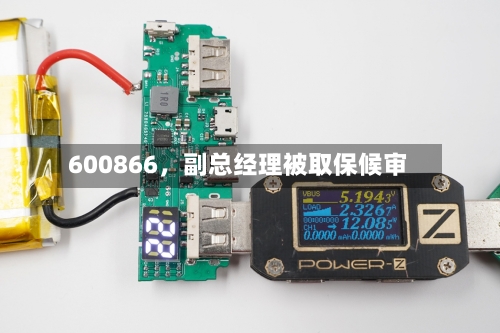 600866，副总经理被取保候审-第2张图片