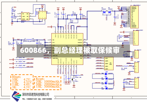 600866	，副总经理被取保候审-第3张图片