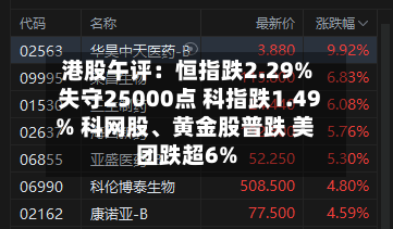 港股午评：恒指跌2.29%失守25000点 科指跌1.49% 科网股、黄金股普跌 美团跌超6%-第2张图片