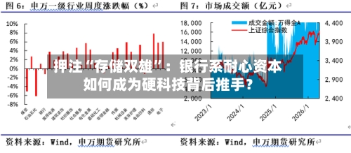 押注“存储双雄	”：银行系耐心资本如何成为硬科技背后推手？-第2张图片