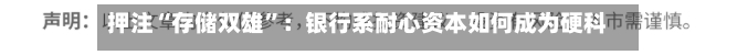 押注“存储双雄	”：银行系耐心资本如何成为硬科技背后推手？-第3张图片
