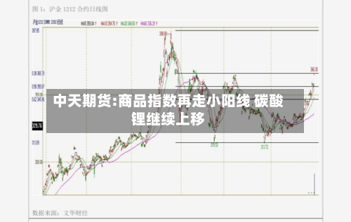 中天期货:商品指数再走小阳线 碳酸锂继续上移-第3张图片