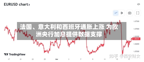 法国、意大利和西班牙通胀上涨 为欧洲央行加息提供数据支撑-第3张图片
