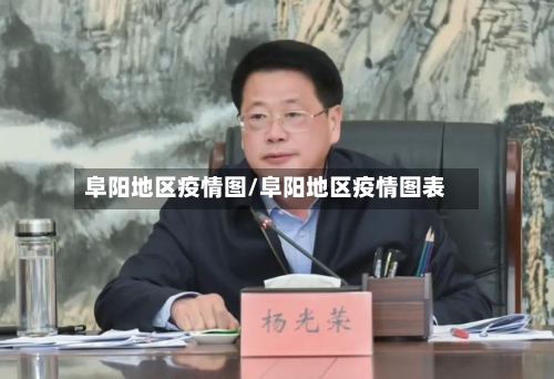 阜阳地区疫情图/阜阳地区疫情图表