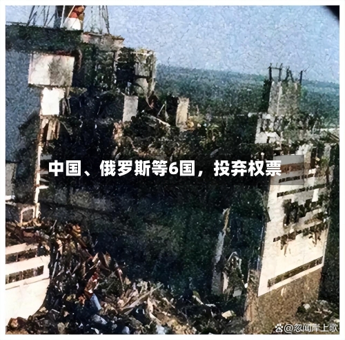 中国、俄罗斯等6国，投弃权票-第3张图片
