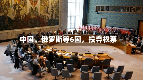中国	、俄罗斯等6国，投弃权票-第2张图片