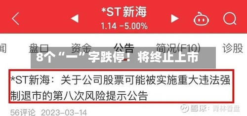 8个“一”字跌停！将终止上市