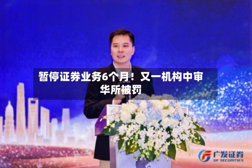 暂停证券业务6个月！又一机构中审华所被罚-第2张图片