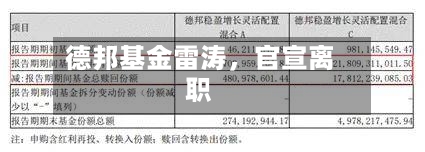 德邦基金雷涛，官宣离职-第3张图片