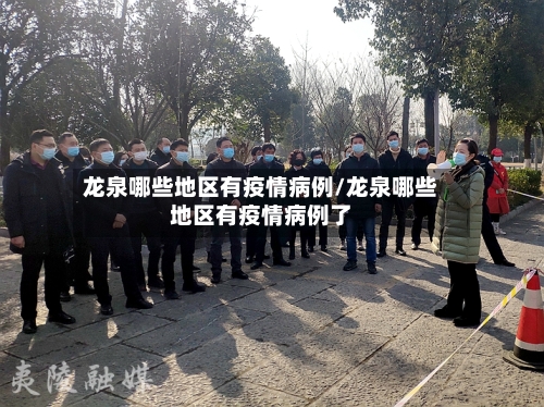 龙泉哪些地区有疫情病例/龙泉哪些地区有疫情病例了