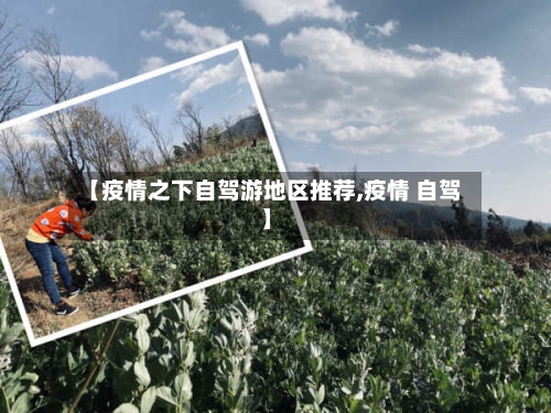 【疫情之下自驾游地区推荐,疫情 自驾】-第3张图片