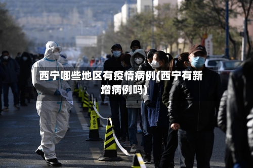 西宁哪些地区有疫情病例(西宁有新增病例吗)