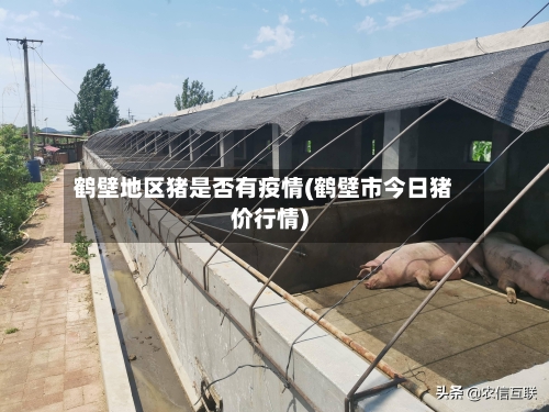 鹤壁地区猪是否有疫情(鹤壁市今日猪价行情)