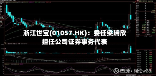 浙江世宝(01057.HK)：委任梁瑞欣担任公司证券事务代表