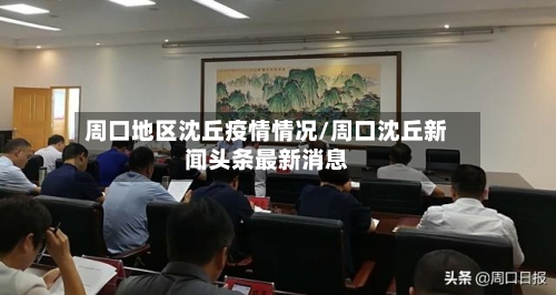 周口地区沈丘疫情情况/周口沈丘新闻头条最新消息-第2张图片