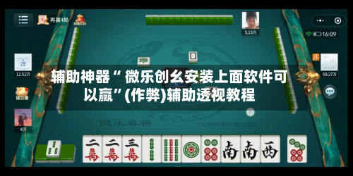 辅助神器“ 微乐创幺安装上面软件可以赢”(作弊)辅助透视教程-第3张图片