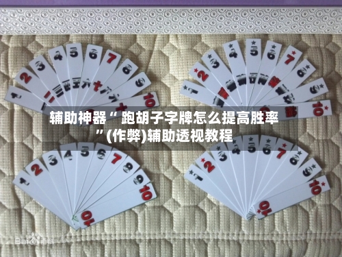 辅助神器“ 跑胡子字牌怎么提高胜率”(作弊)辅助透视教程-第3张图片