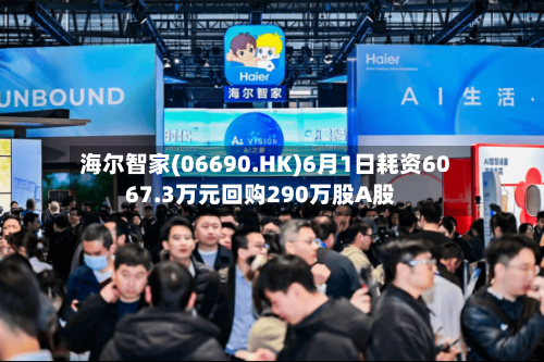 海尔智家(06690.HK)6月1日耗资6067.3万元回购290万股A股