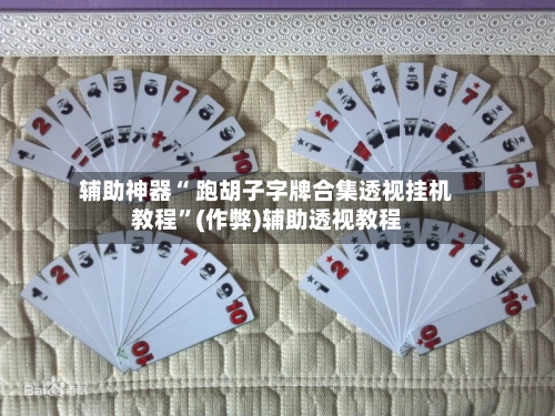辅助神器“ 跑胡子字牌合集透视挂机教程”(作弊)辅助透视教程-第2张图片