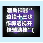 辅助神器“ 边锋十三水作弊透视开挂辅助挂	”(作弊)辅助透视教程-第3张图片