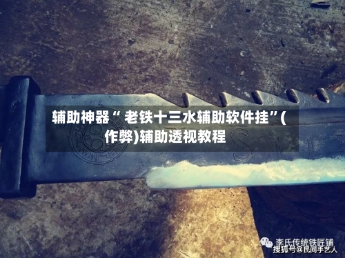 辅助神器“ 老铁十三水辅助软件挂”(作弊)辅助透视教程-第2张图片