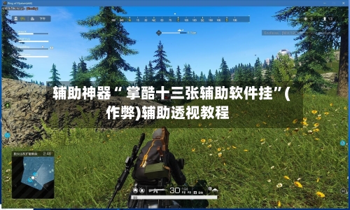 辅助神器“ 掌酷十三张辅助软件挂”(作弊)辅助透视教程-第2张图片