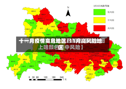 十一月疫情高危地区/11月高风险地区