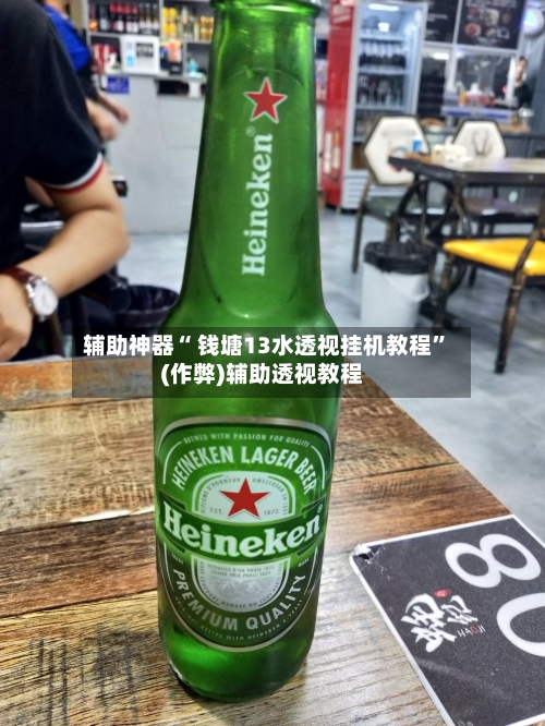 辅助神器“ 钱塘13水透视挂机教程”(作弊)辅助透视教程-第3张图片