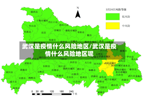 武汉是疫情什么风险地区/武汉是疫情什么风险地区呢-第2张图片