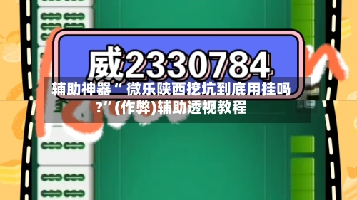 辅助神器“ 微乐陕西挖坑到底用挂吗?”(作弊)辅助透视教程-第2张图片