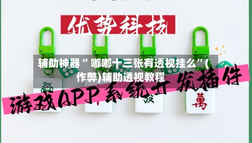 辅助神器“ 嘟嘟十三张有透视挂么”(作弊)辅助透视教程-第2张图片