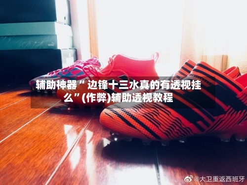 辅助神器“ 边锋十三水真的有透视挂么”(作弊)辅助透视教程-第2张图片