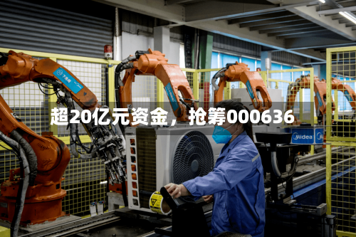 超20亿元资金	，抢筹000636-第2张图片