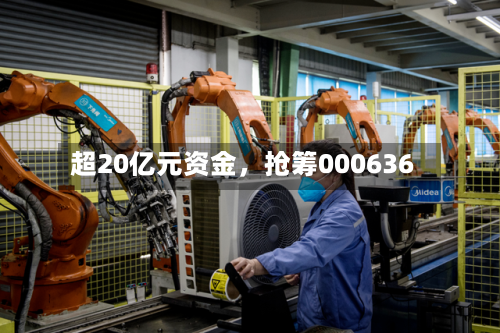 超20亿元资金，抢筹000636-第3张图片