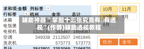 辅助神器“ 掌酷十三张究竟有沒有透视”(作弊)辅助透视教程-第2张图片