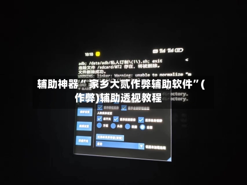 辅助神器“ 家乡大贰作弊辅助软件”(作弊)辅助透视教程-第3张图片