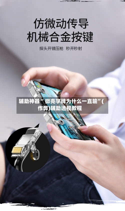 辅助神器“ 微壳字牌为什么一直输”(作弊)辅助透视教程-第2张图片