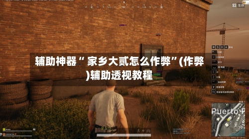 辅助神器“ 家乡大贰怎么作弊	”(作弊)辅助透视教程-第2张图片