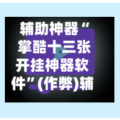 辅助神器“ 掌酷十三张开挂神器软件”(作弊)辅助透视教程-第2张图片