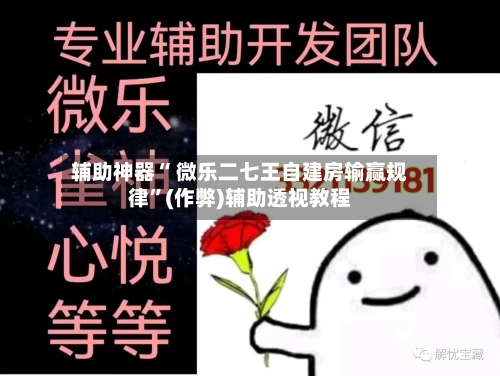 辅助神器“ 微乐二七王自建房输赢规律	”(作弊)辅助透视教程-第3张图片