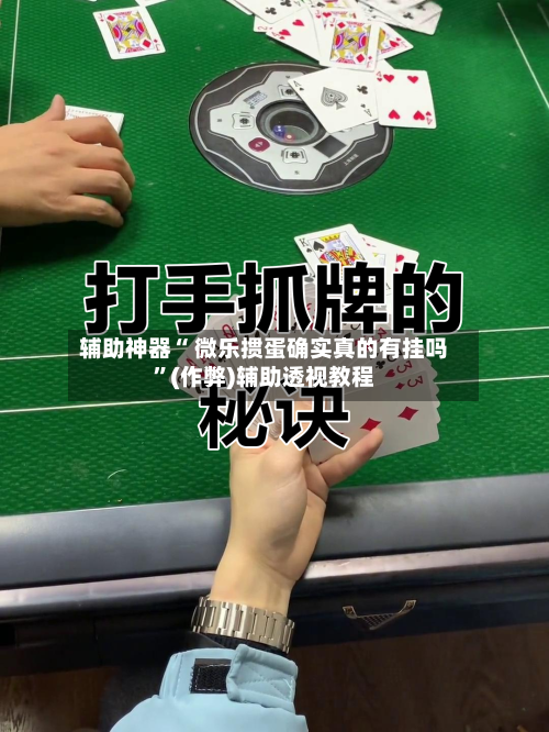 辅助神器“ 微乐掼蛋确实真的有挂吗”(作弊)辅助透视教程-第2张图片