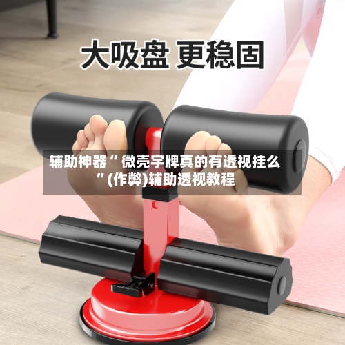 辅助神器“ 微壳字牌真的有透视挂么”(作弊)辅助透视教程-第3张图片