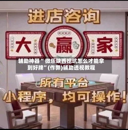 辅助神器“ 微乐陕西挖坑怎么才能拿到好牌”(作弊)辅助透视教程-第2张图片