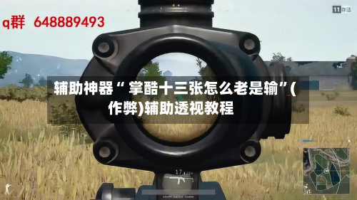 辅助神器“ 掌酷十三张怎么老是输”(作弊)辅助透视教程-第2张图片