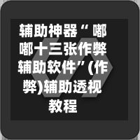 辅助神器“ 嘟嘟十三张作弊辅助软件”(作弊)辅助透视教程-第2张图片