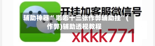 辅助神器“ 嘟嘟十三张作弊辅助挂”(作弊)辅助透视教程