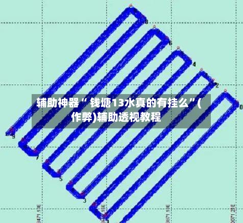 辅助神器“ 钱塘13水真的有挂么”(作弊)辅助透视教程-第3张图片