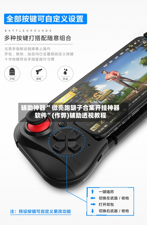 辅助神器“ 微壳跑胡子合集开挂神器软件	”(作弊)辅助透视教程-第2张图片